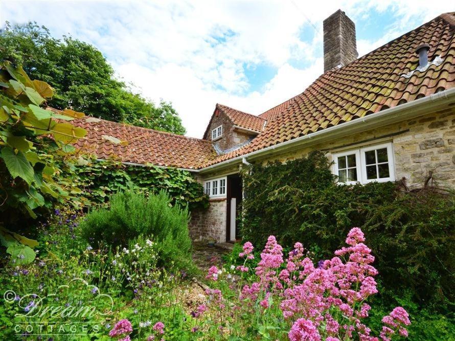 Sixpenny Cottage Upwey Bagian luar foto